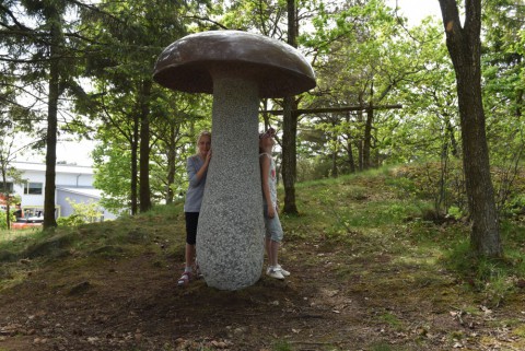 Fairy och Fungi