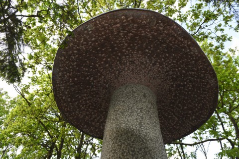Fairy och Fungi