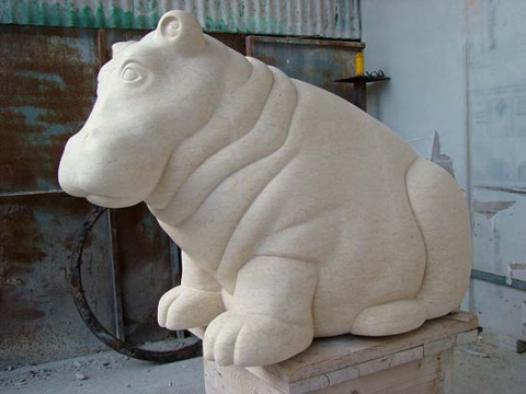 Hippopotamus