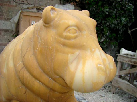 Hippopotamus