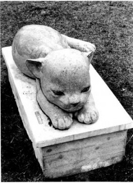 Kattungen