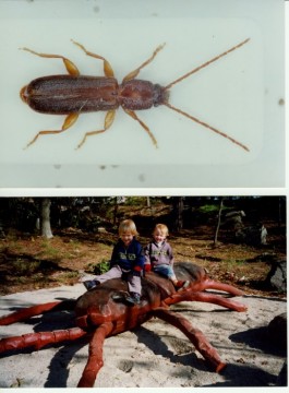 Lekplats Skalbagge, Älg