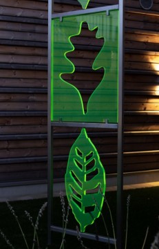 Schersmin, fläder, hägg och ek