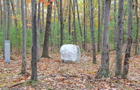 Tree and vault of heaven