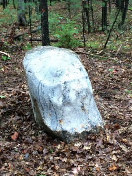 Tree and vault of heaven