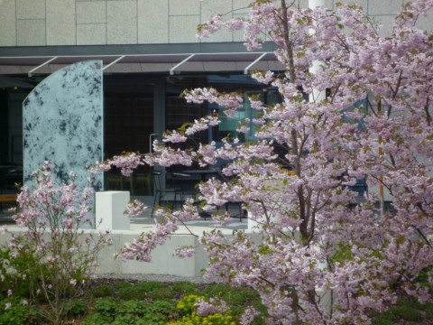 Vigselplats Nacka stadshus