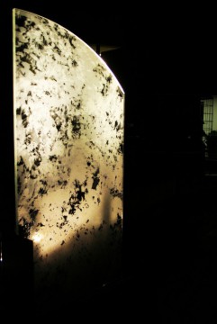 Vigselplats Nacka stadshus