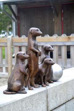 VIP-gänget & Baravarafågeln