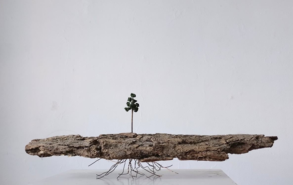 <h1><a href='/medlemmar/anders-jansson'>Anders Jansson</a></h1><h4>Landskap</h4>